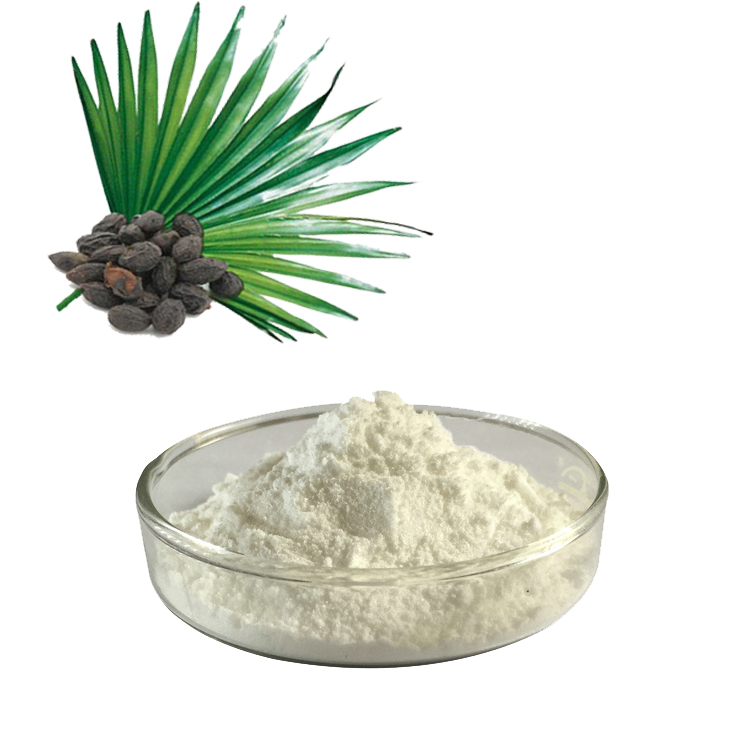 Saw Palmetto Özü Nedir? Ve Saw Palmetto Özü ne işe yarar?